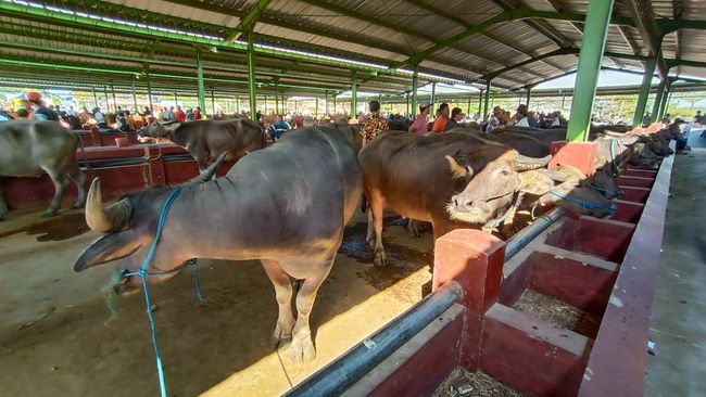 Ilmuwan Teriak Kiamat, Ramai-ramai Kritik PBB