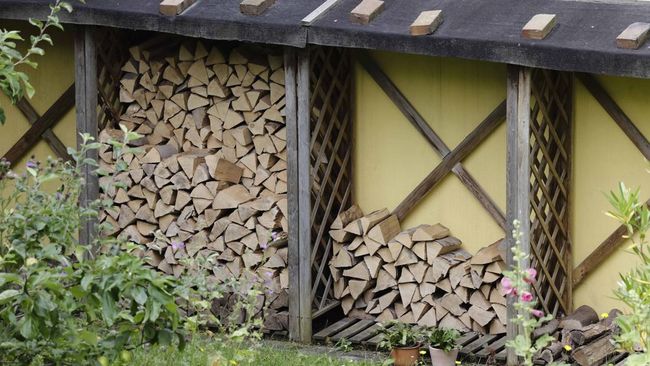 Tukang Kayu Cuan Rp 4,7 Triliun, Langsung Ludes dan Gagal Pensiun