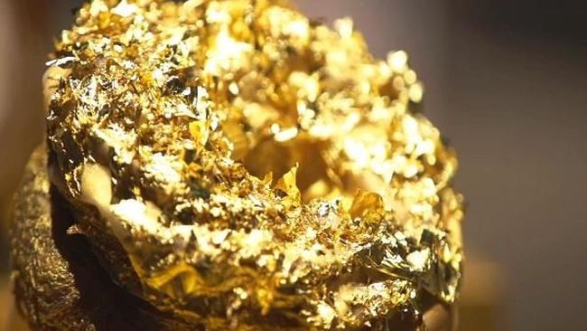 Ilmuwan Temukan Fosil Berlapis Emas, Usianya 450 juta Tahun