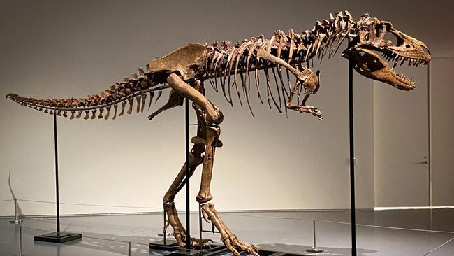 Peneliti Ungkap Nasib Manusia Bakal Mirip Dinosaurus, Mengerikan!
