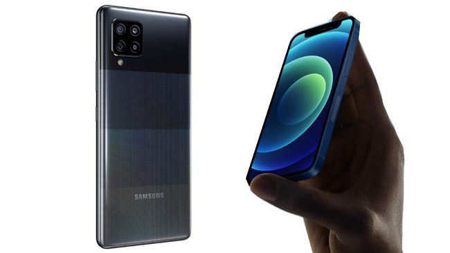 Bukan iPhone dan Samsung, Ini Raja Kamera HP Terbaik di 2024