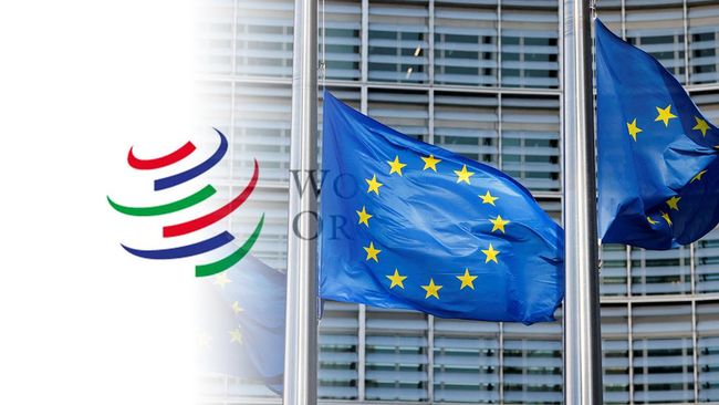 Uni Eropa Kena ‘Gampar’ WTO, Pengusaha Sawit RI Buka Suara