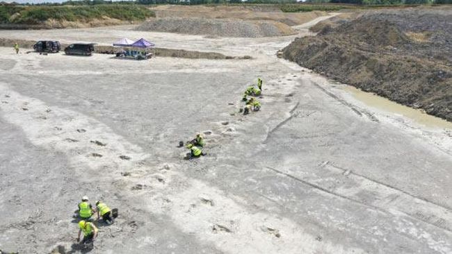 Bekas ‘Jalan Tol’ Dinosaurus Ditemukan, Buktinya Terlihat Jelas